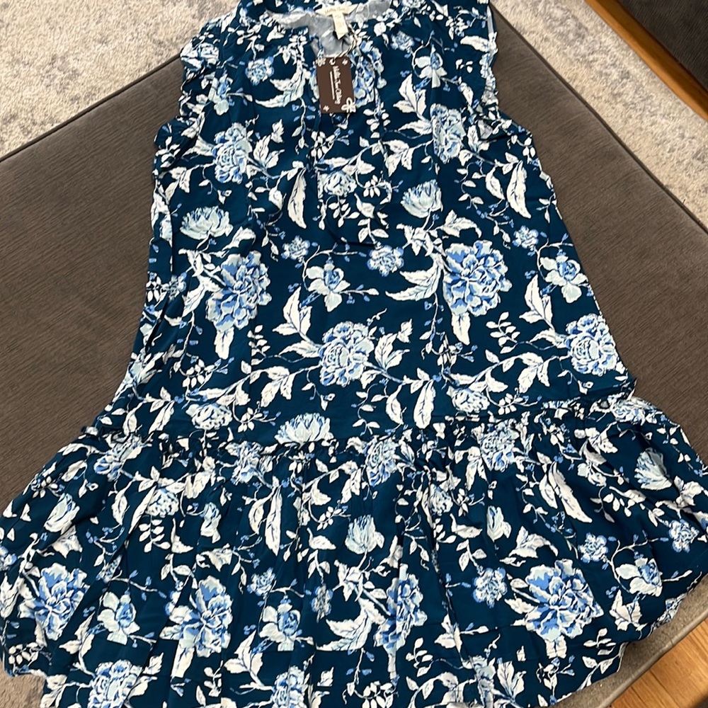 Matilda jane enchanted garden dress